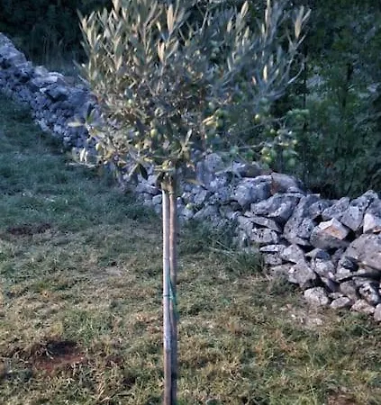 Traumhafte Dubi Bei لابين