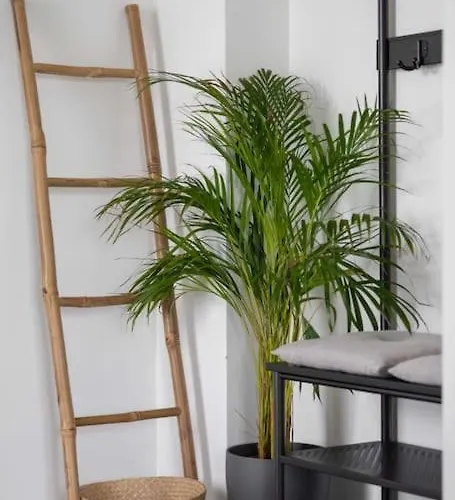 Traumhafte Dubi Bei Vila *