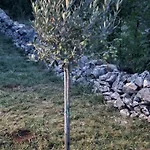 Traumhafte Dubi Bei Labin (Istria)